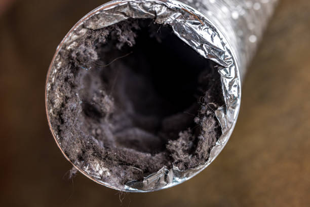 Best Air Duct Cleaning Cost  in Bay Point, CA
