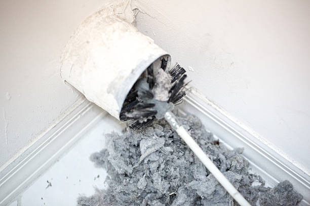 Best Professional Duct Cleaning Services  in Bay Point, CA